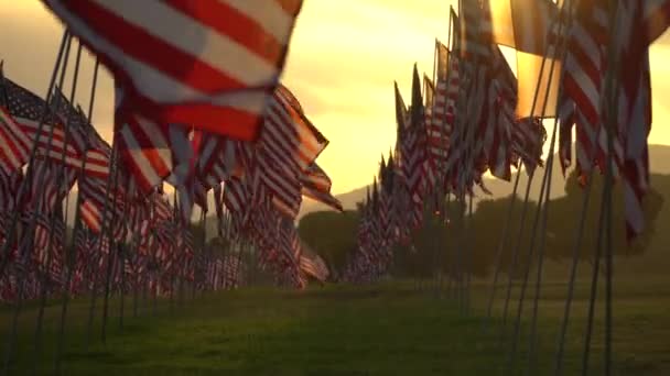 Set di bandiere americane che sventolano nel vento nel Memorial Day On the Sunset. Los Angeles, California, USA. Vista ad angolo basso. Il bagliore delle lenti. Campo con erba verde . — Video Stock