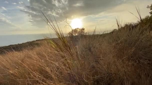 Kamera se pomalu pohybuje po pěšině vysokými suchými keři. Steadicam výstřel. Krásný západ slunce v Malibu. Kalifornie, USA. — Stock video