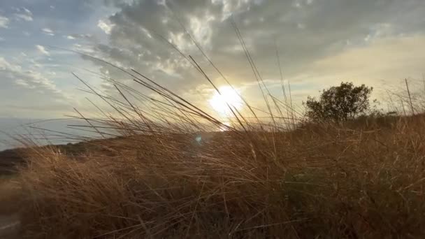 A câmera se move lentamente ao longo do caminho através de arbustos altos e secos. Steadicam baleado. Belo pôr-do-sol em Malibu. Califórnia, EUA . — Vídeo de Stock