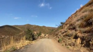 Malibu kanyonunda dar bir yolda araba kullanmak. Yangından sonra görünen ağaçlar ve çalılar yanmış. Malibu California 'da güneşli bir gün..