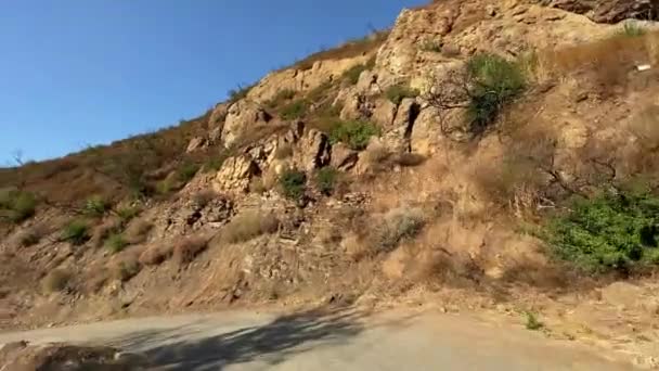 Kör bil på en smal väg i ravinen Malibu. Synliga brända buskar och träd efter branden. Varm solig dag i Malibu Kalifornien Usa. — Stockvideo