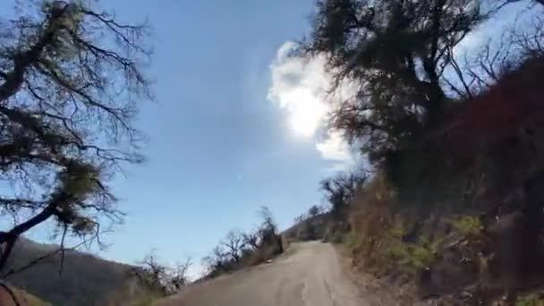 Kör bil på en smal väg i ravinen Malibu. Synliga brända buskar och träd efter branden. Varm solig dag i Malibu Kalifornien Usa. — Stockvideo