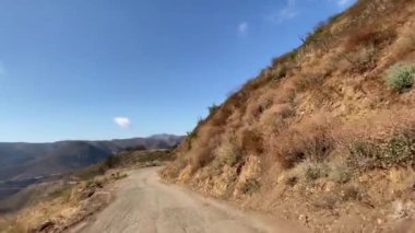 Malibu kanyonunda dar bir yolda araba kullanmak. Yangından sonra görünen ağaçlar ve çalılar yanmış. Malibu California 'da güneşli bir gün..