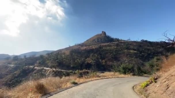 A conduzir um carro numa estrada estreita no desfiladeiro Malibu. Arbustos queimados visíveis e árvores após o fogo. Quente dia ensolarado em Malibu Califórnia EUA . — Vídeo de Stock