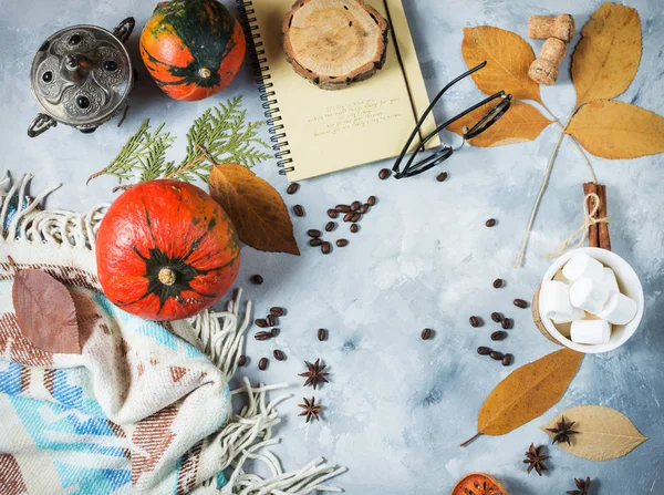 Autumn background with cup of marshmallow, yellow maple leaves and pumpkins. Frame of fall harvest with copy space. — Stock Photo, Image