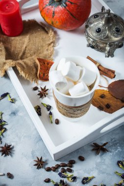 Ev yapımı kakao marshmallows, baharatlar ve kabak, rahat sonbahar natürmort, sonbahar ruh kavramı, mevsimlik craft dekor, hugge yaşam tarzı ile