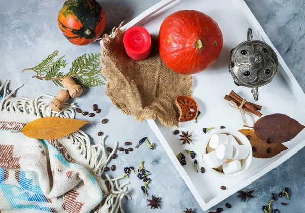 Domowe kakao z marshmallows, przyprawy i dyni, przytulne jesień martwa, jesień koncepcja nastroju, sezonowe rzemiosło wystrój, styl życia hugge, widok z góry — Zdjęcie stockowe