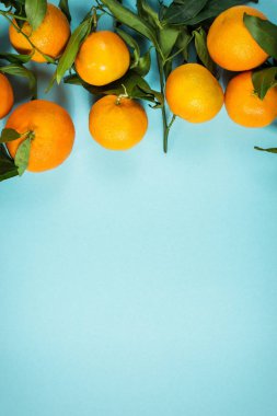 Taze mandalina ile izole üzerinde mavi arka plan bırakır. Düz yatıyordu.