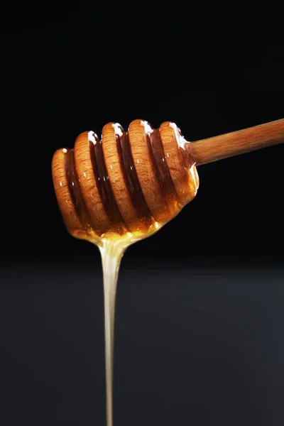 Honey dipper with dripping honey — Stock Photo, Image
