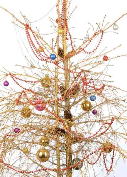 çam ağacı olmadan açık renkli iğne falan batmazdı