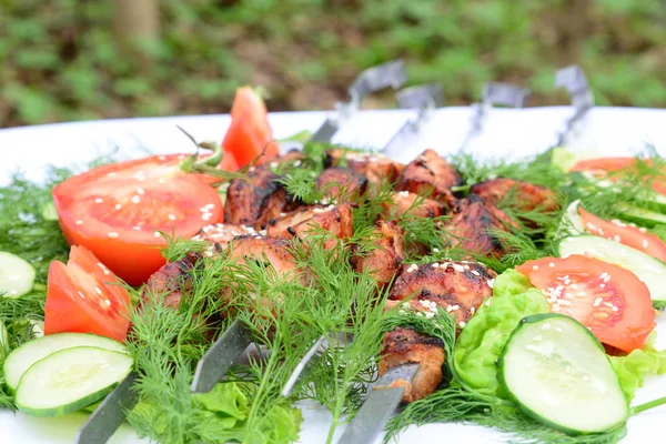 Piatto di carne cucinato su un picnic — Foto Stock