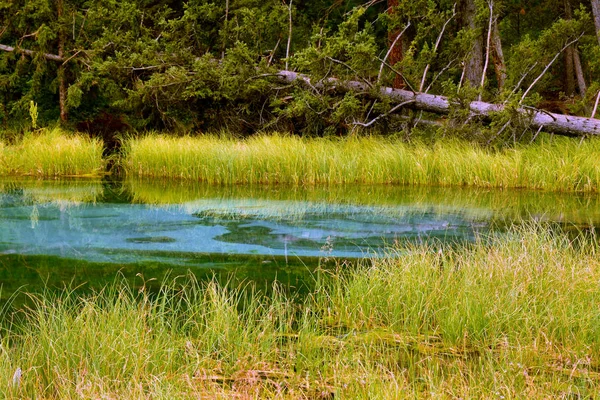 Lac Geyser dans la forêt, Altaï, Sibérie, Russie — Photo