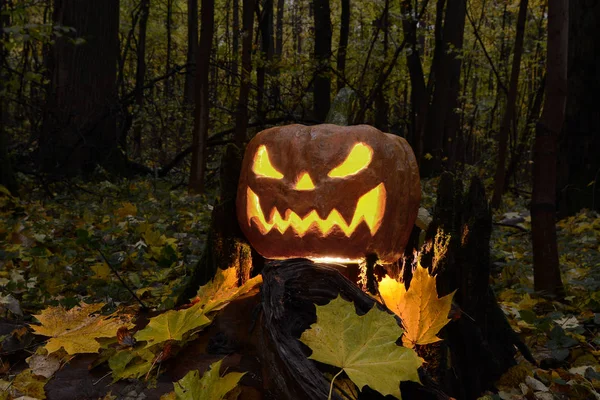Lanterne de citrouille Halloween avec un visage terrible — Photo