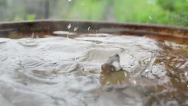 Gotas Salpicaduras Agua Lluvia Caen Del Techo Barril Metal Durante — Vídeos de Stock