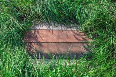 Yeşil çimlerle kaplı ahşap arka plan.