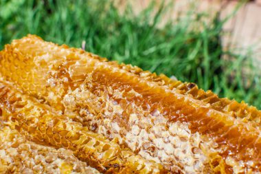 Kovandan alınan ballı arı kovanları.