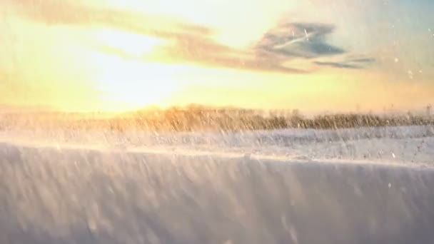 Nieve Cayendo Atardecer Concepto Nevadas Ventiscas Paisaje Invernal Horizonte Movimiento — Vídeo de stock