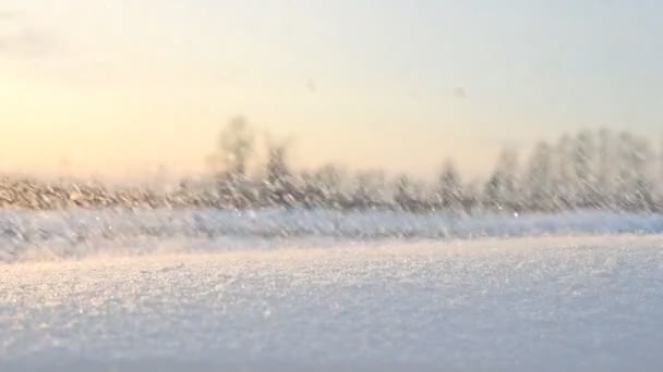 Vallende Sneeuw Bij Zonsondergang Het Concept Van Sneeuwval Sneeuwstormen Winterlandschap — Stockvideo