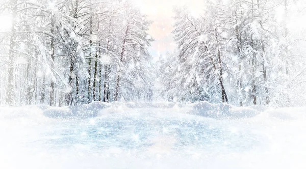 Inverno paisagem gelada panorâmica na margem de um lago congelado . — Fotografia de Stock