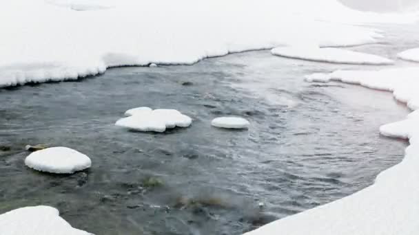 ぬれた雪が速く流れる川の春に落ちます 冬の悪天候の概念 — ストック動画