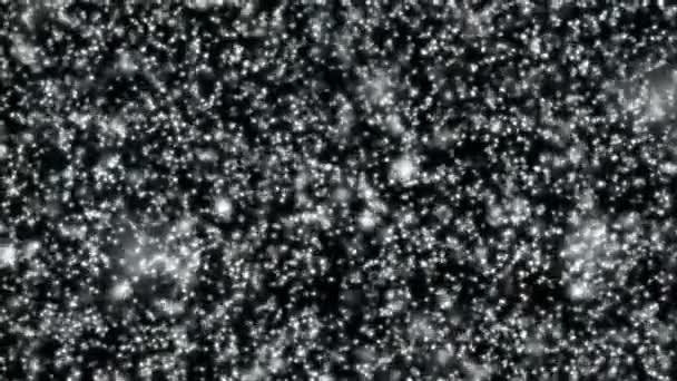 在黑色背景上的降雪或白色抽象粒子的概念 4K动画视频 — 图库视频影像