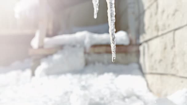 Gotas Água Pingando Icicles Fundo Abstrato Descongelamento Primavera Derreter Gelo — Vídeo de Stock