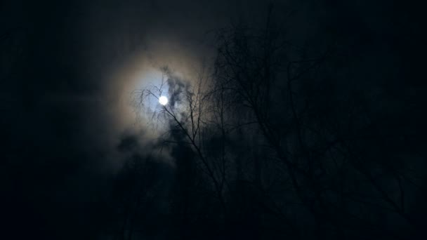 夜満月と高速木々の暗い背景に移動雲 暗闇の中で月明かりを照らす 森の中で悲観的で怖い背景がぼやけている 高速動作時間ラップ時間 4Kビデオ — ストック動画