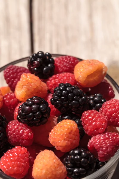 Organic golden and red raspberries mixed with blackberries — Stock Photo, Image