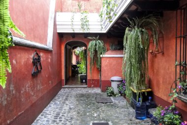 Oturma ve bitki ile bahçe avlusu