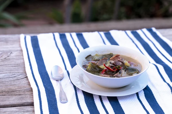 Sopa de pato — Fotografia de Stock