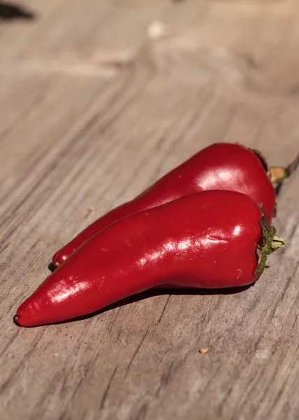 Organic red hot jalapeno pepper — Stock Photo, Image