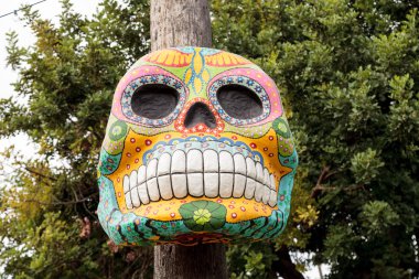 Çiçek ve iskelet Dia de los Muertos alter