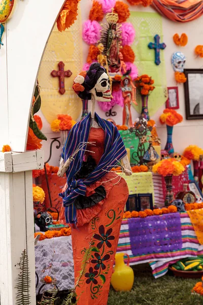 Flor y esqueleto alterados en el Dia de los Muertos — Foto de Stock