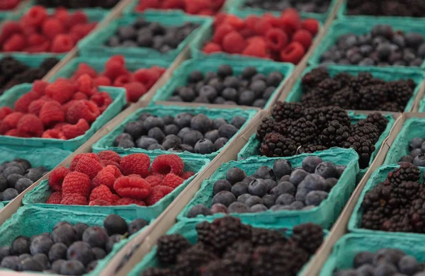 Körbe mit Bio-Himbeeren, Blaubeeren und Brombeeren — Stockfoto