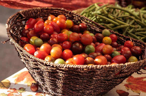 Tomates rojos y verdes cereza —  Fotos de Stock