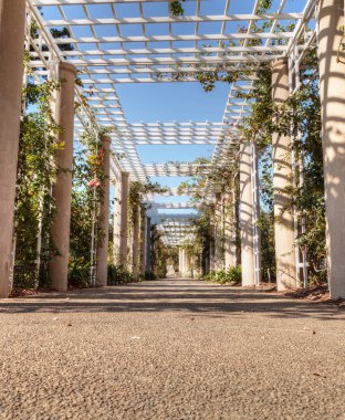Gül bahçe kafes yolu gül üzüm ile