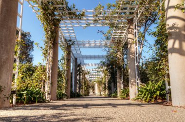 Gül bahçe kafes yolu gül üzüm ile