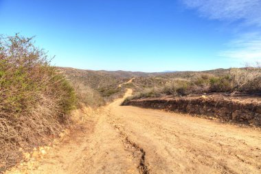 Laguna Beach sahil manzaralı yürüyüş iz