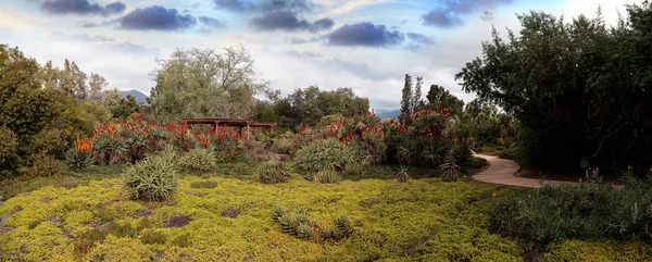 Panoramic desert garden path