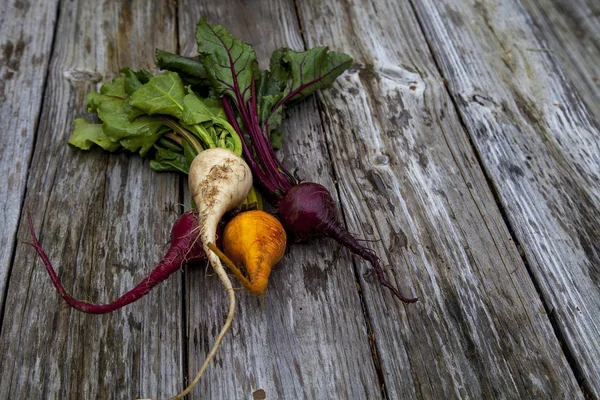 Red, orange and yellow beets