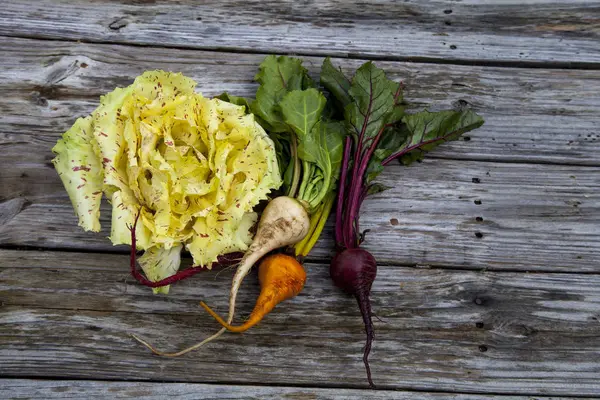 Beterraba e alface de Castelfranco radicchio — Fotografia de Stock