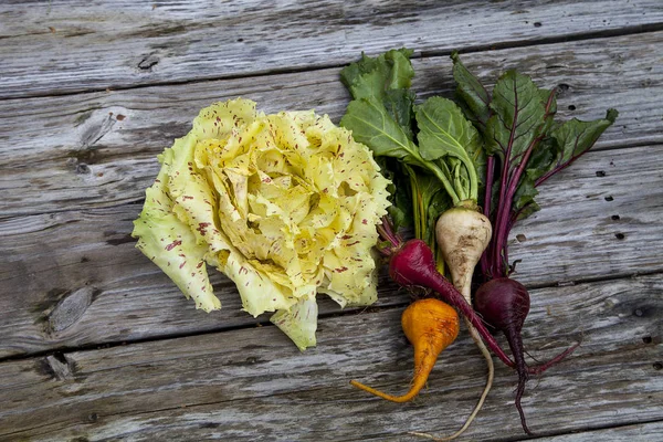 Beterraba e alface de Castelfranco radicchio — Fotografia de Stock