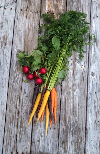 Radis rouges et carottes biologiques — Photo