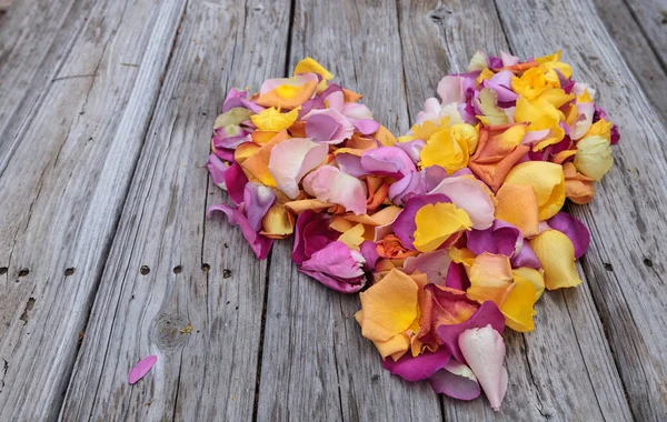 Pétales de rose en forme de cœur aux couleurs d'un coucher de soleil — Photo