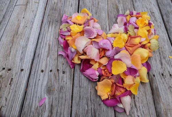 Pétales de rose en forme de cœur aux couleurs d'un coucher de soleil — Photo