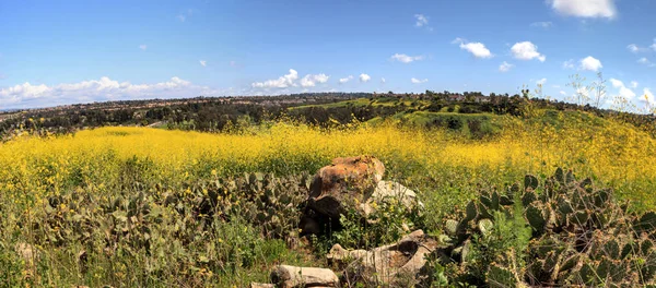 Aliso Viejo Wilderness Park view — Stock Photo, Image