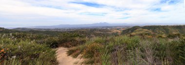 Aliso ve ahşap kanyonlar vahşi yolda Laguna olmak hiking Park