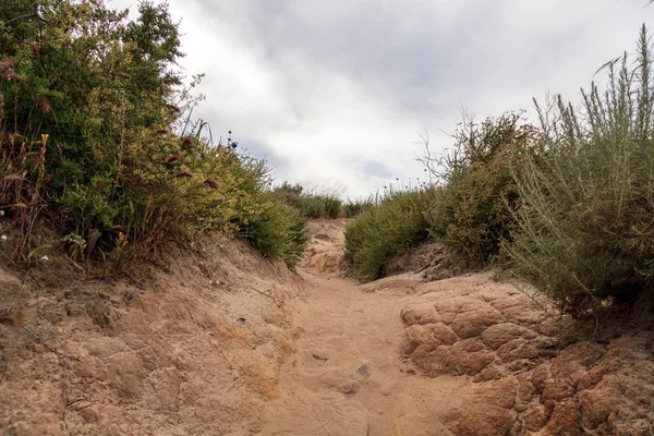 Aliso y Wood Canyons Wilderness Park rutas de senderismo en Laguna Be — Foto de Stock