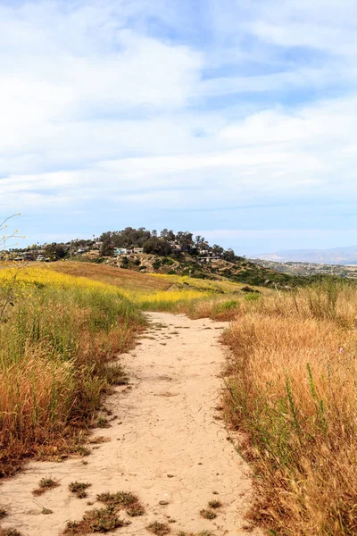 Aliso y Wood Canyons Wilderness Park rutas de senderismo en Laguna Be — Foto de Stock