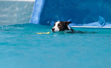 Kenar kömür ocağı bir oyuncakla yüzüyor